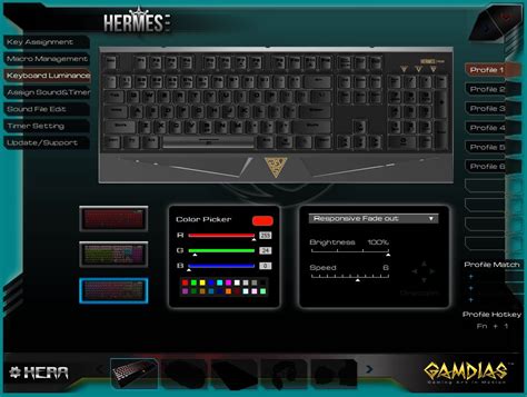 hermes gamdias software